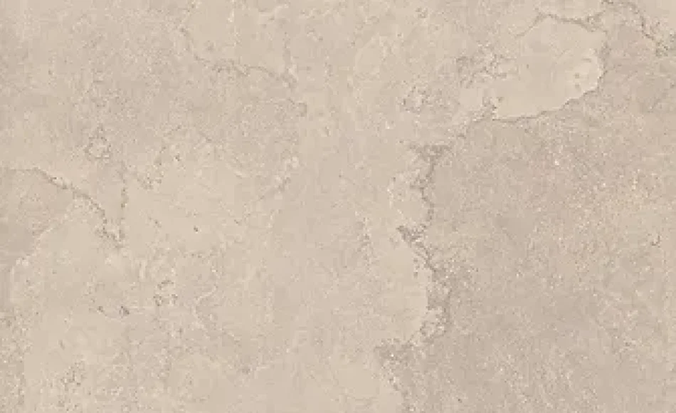 54d218_3bc9c94617f7424d87eea5a277aeaaf7~mv2